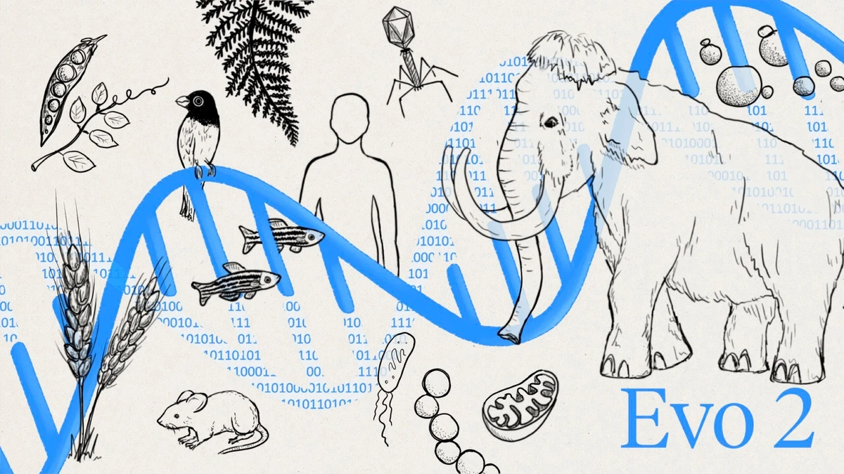 Evo 2 – L'IA qui écrit de l'ADN fonctionnel